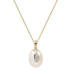 Χρυσό Μενταγιόν Με Ζιργκόν Και Μαργαριτάρι Δίχρωμο 14Κ