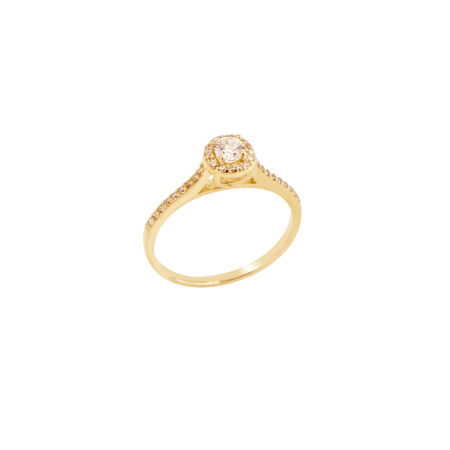 Δαχτυλίδι Ροζέτα Χρυσό 9Κ Με Ζιργκόν