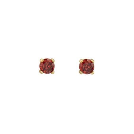 Επίχρυσα Σκουλαρίκια Με Κόκκινη Πέτρα Ζιργκόν Από Ασήμι 925