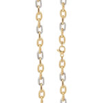 Δίχρωμο Κολιέ Αλυσίδα Σε Χρυσό 14Κ Μήκους 45,00 cm