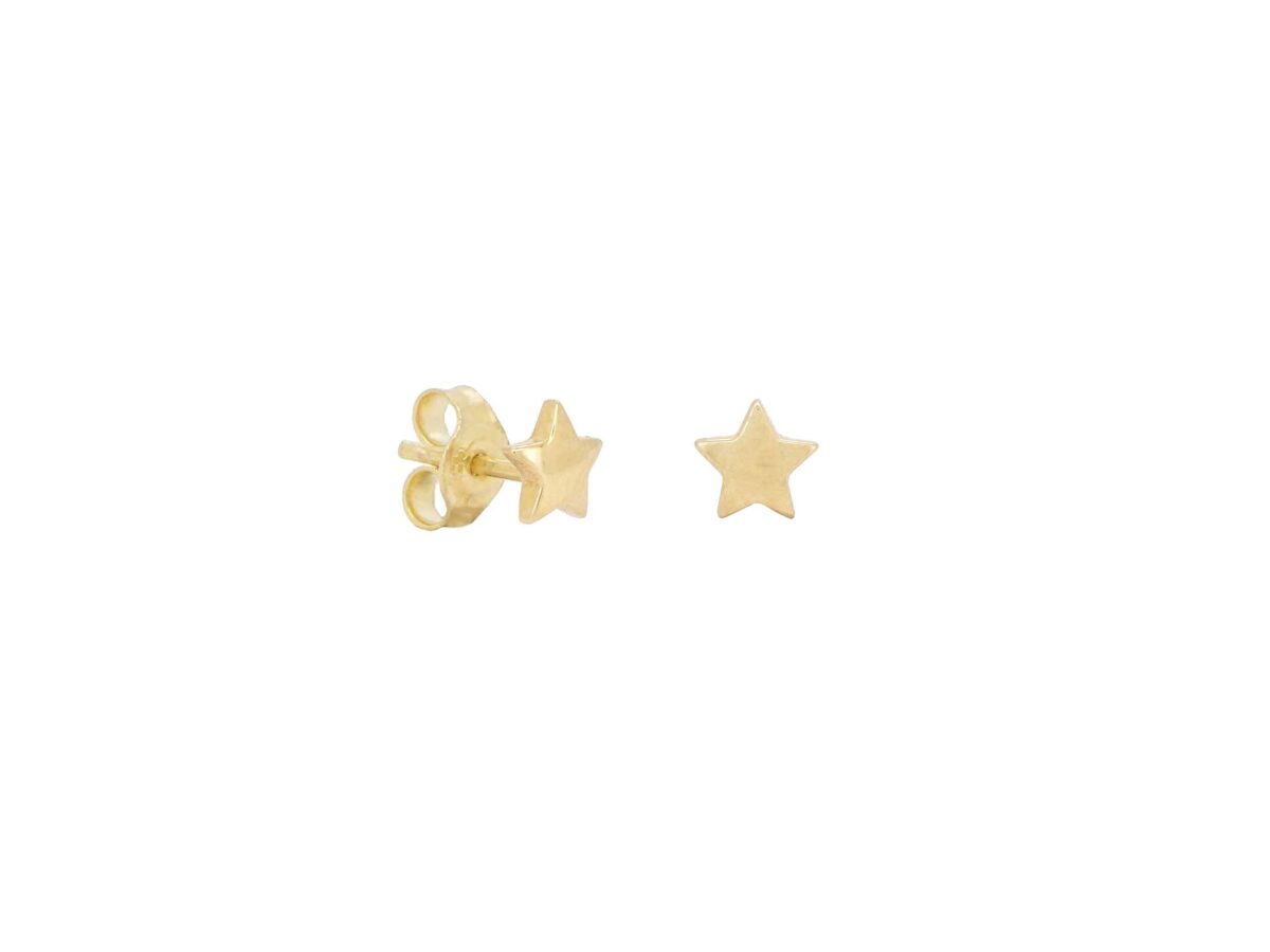 Σκουλαρίκια Καρφωτά Αστέρι Σε Χρυσό 14Κ