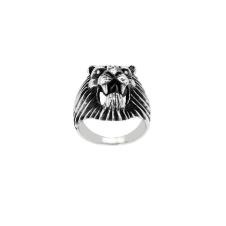 Δαχτυλίδι Λιοντάρι Ασημένιο 925 Με Ζιργκόν