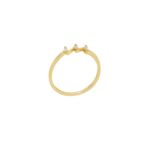 Επίχρυσο Δαχτυλίδι Από Ασήμι 925 Με Ζιργκόν