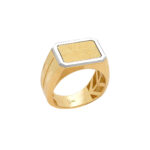 Δίχρωμο Δαχτυλίδι Ανδρικό Χρυσό 14Κ