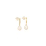 Κρεμαστά Σκουλαρίκια Με Μαργαριτάρια Και Ζιργκόν Σε Χρυσό 9Κ